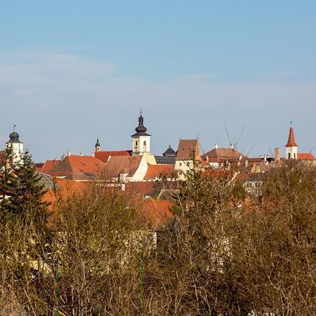 The Views Apartment Sibiu Bagian luar foto