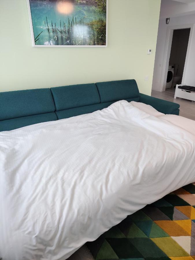 The Views Apartment Sibiu Bagian luar foto